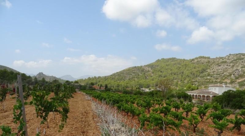 Alicante - Llíber - 14205m2