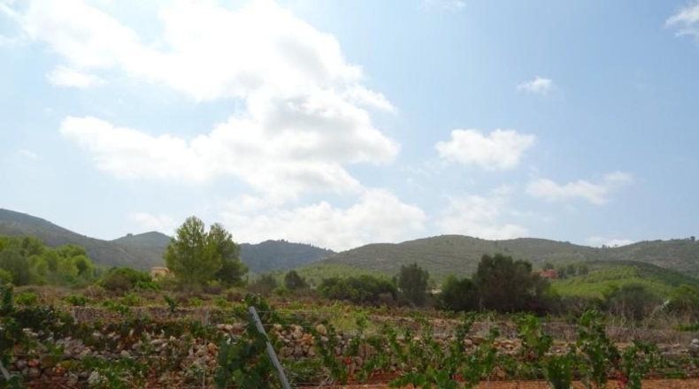 Alicante - Llíber - 14205m2