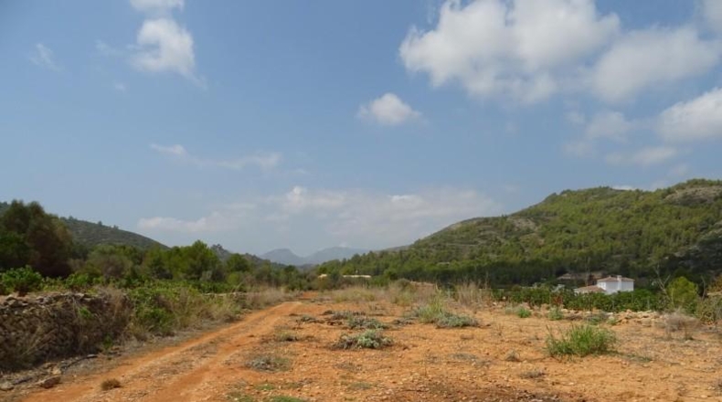 Alicante - Llíber - 14205m2