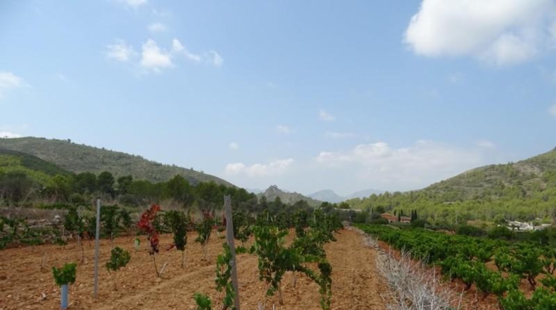 Alicante - Llíber - 14205m2