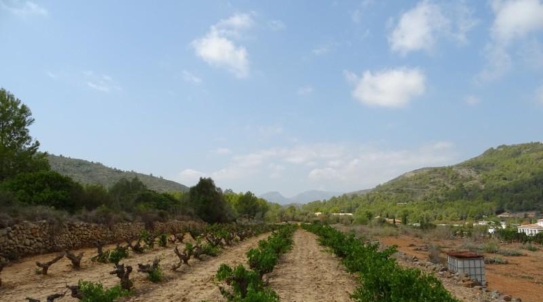Alicante - Llíber - 14205m2