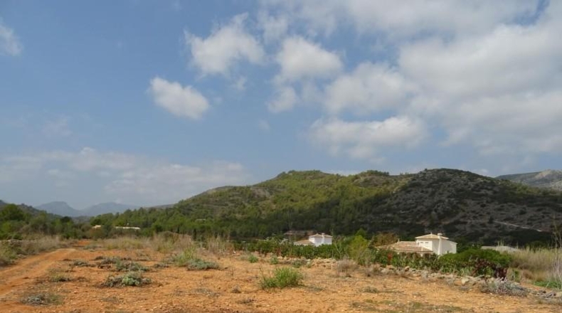 Alicante - Llíber - 14205m2