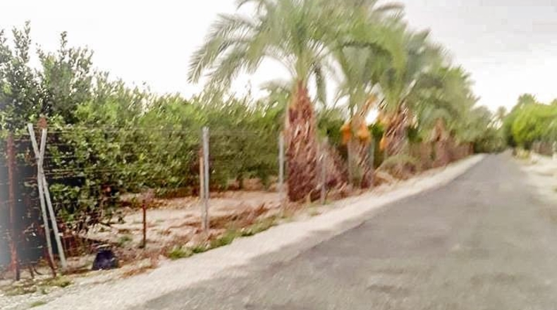 Alicante - Elche - 26356m2
