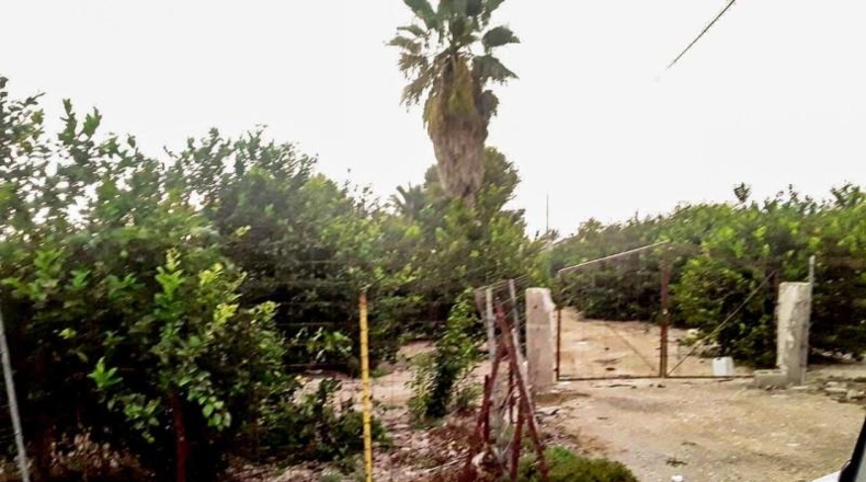 Alicante - Elche - 26356m2