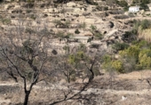 Casa de camp amb terreny en venda a la España, Sella, ref.: TR170906 foto