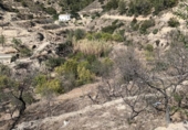 Casa de camp amb terreny en venda a la España, Sella, ref.: TR170906 foto