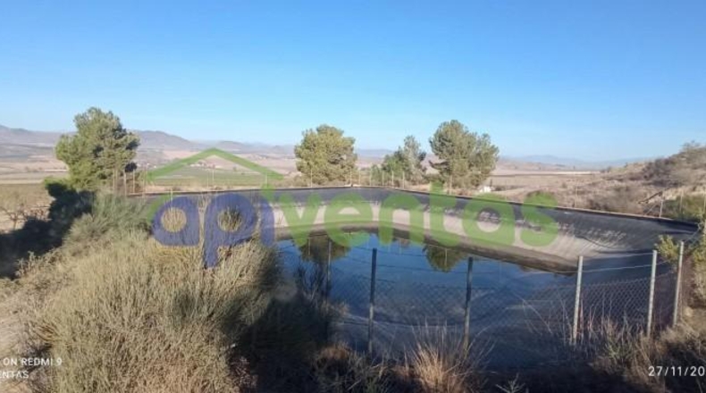 Murcia - Lorca - 50000m2