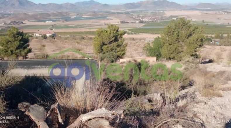 Murcia - Lorca - 50000m2