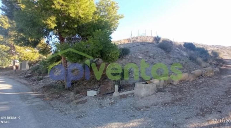 Murcia - Lorca - 50000m2