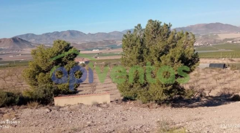 Murcia - Lorca - 50000m2