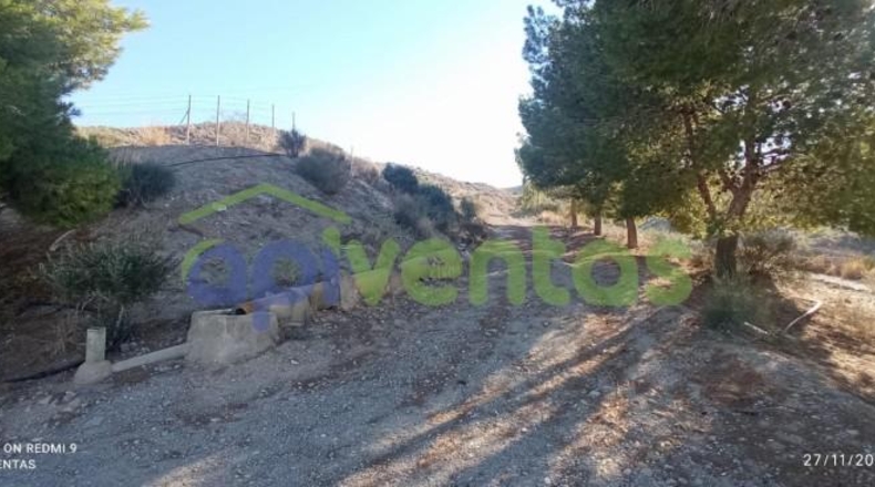 Murcia - Lorca - 50000m2