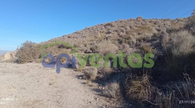 Murcia - Lorca - 50000m2