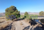 Terreny no urbanitzable en venda a la España, Lorca, ref.: TR171541 foto