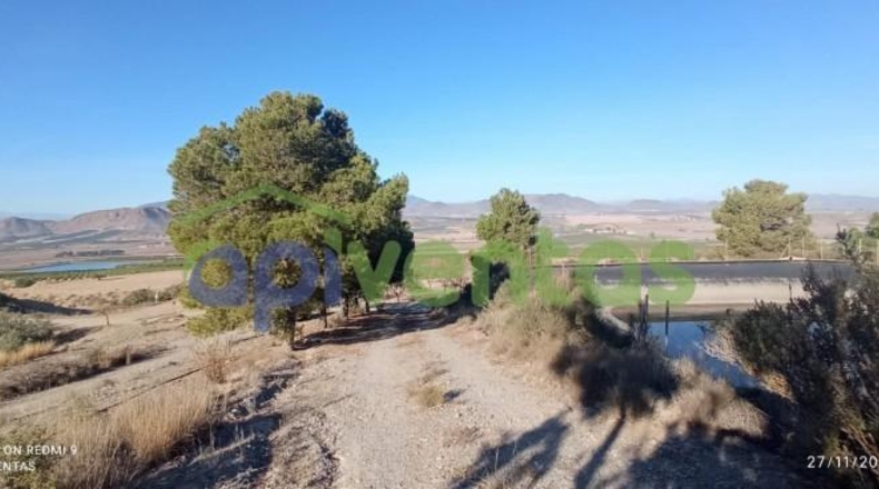 Murcia - Lorca - 50000m2