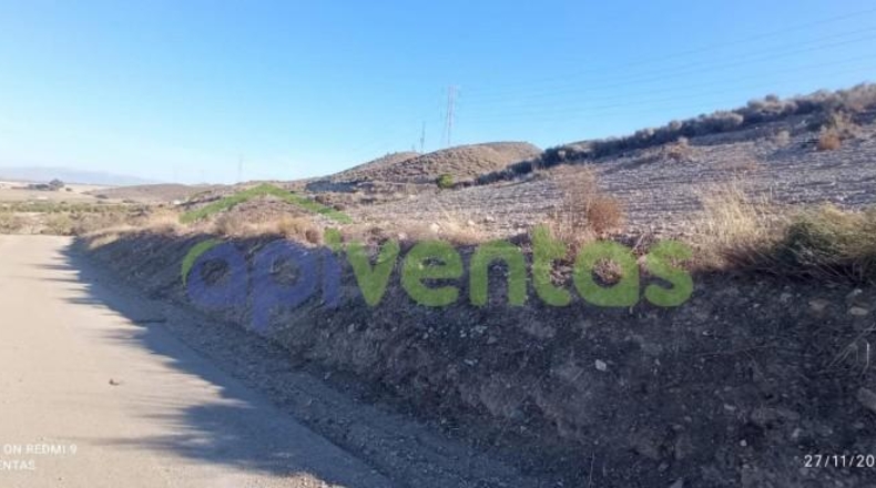 Murcia - Lorca - 50000m2