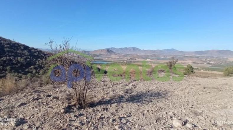 Murcia - Lorca - 50000m2