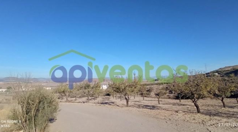 Murcia - Lorca - 50000m2