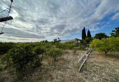 Parcel·la urbanitzable en venda a la España, Múrcia, ref.: TR171804 foto