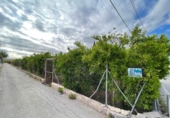 Parcel·la urbanitzable en venda a la España, Múrcia, ref.: TR171804 foto