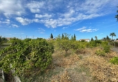 Parcel·la urbanitzable en venda a la España, Múrcia, ref.: TR171804 foto