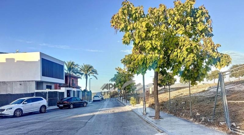 Córdoba - Lucena - 340m2
