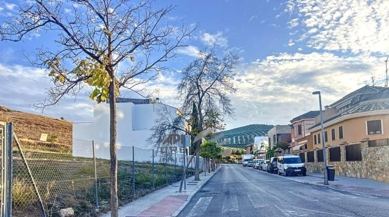 Córdoba - Lucena - 340m2