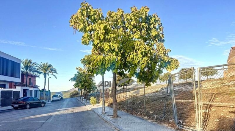 Córdoba - Lucena - 340m2