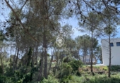 Sòl urbà en venda a la España, Sant Pere de Ribes, ref.: TR129433 foto