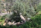 Sòl urbà en venda a la España, Sant Pere de Ribes, ref.: TR129433 foto