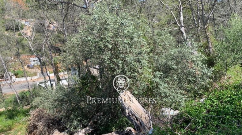 Barcelona - Sant Pere de Ribes - 489m2