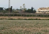 Parcel·la urbanitzable en venda a la España, Elx, ref.: TR130707 foto