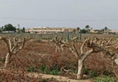 Parcel·la urbanitzable en venda a la España, Elx, ref.: TR130707 foto