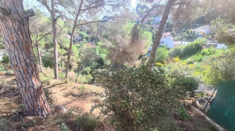 Barcelona - Argentona - 950m2