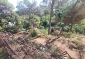Parcel·la urbanitzable en venda a la España, Tona, ref.: TR130997 foto