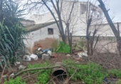 Casa de camp amb terreny en venda a la España, Puebla de la Calzada, ref.: TR155482 foto