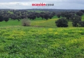 Detached villa with land for sale on España, El Viso, ref: TR155783 photo