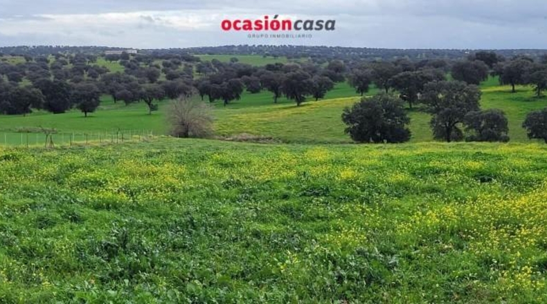 Córdoba - El Viso - 33400m2