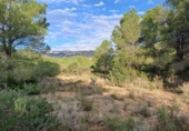 Загородный дом с участком на продажу в городе Mont-roig del Camp Фото