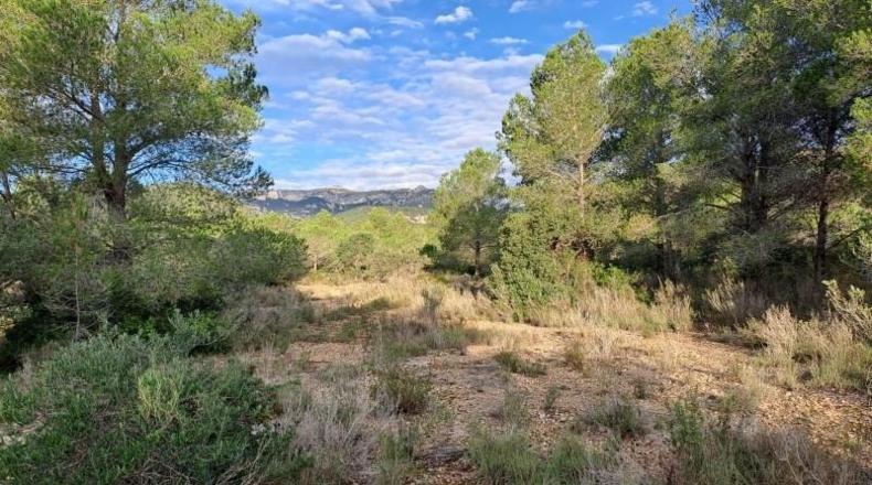 Tarragona - Mont-roig del Camp - 8620m2