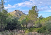Загородный дом с участком на продажу в городе Mont-roig del Camp Фото