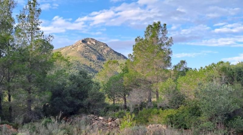 Tarragona - Mont-roig del Camp - 8620m2
