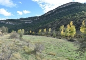 Chalet independiente con terreno en venta en la España, Peñarroya de Tastavins, ref: TR174810 foto
