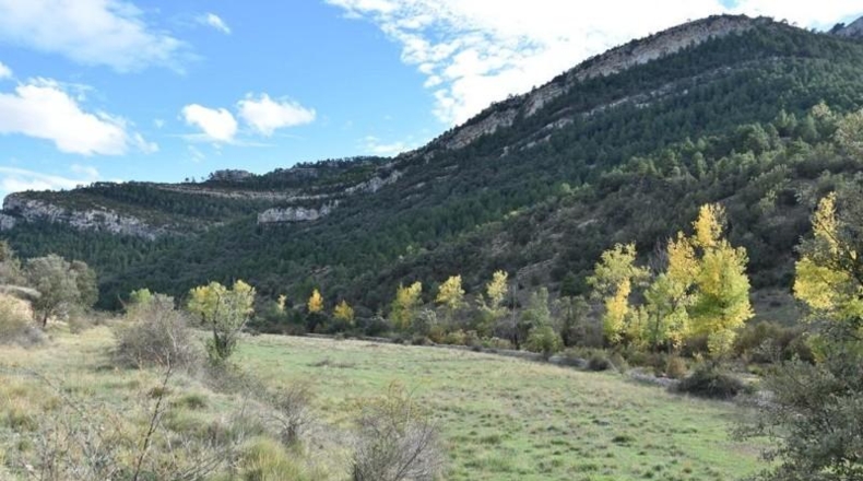 Teruel - Peñarroya de Tastavins - 1020000m2