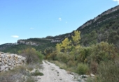 Chalet independiente con terreno en venta en la España, Peñarroya de Tastavins, ref: TR174810 foto
