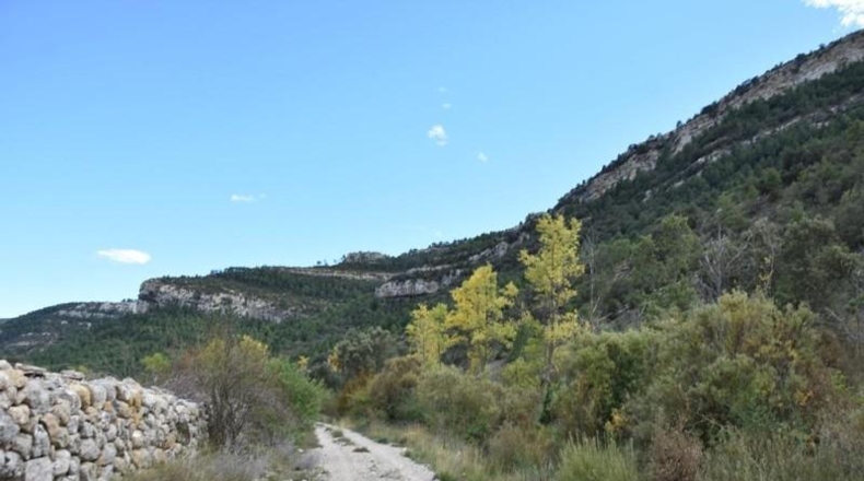 Teruel - Peñarroya de Tastavins - 1020000m2