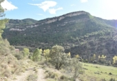 Chalet independiente con terreno en venta en la España, Peñarroya de Tastavins, ref: TR174810 foto