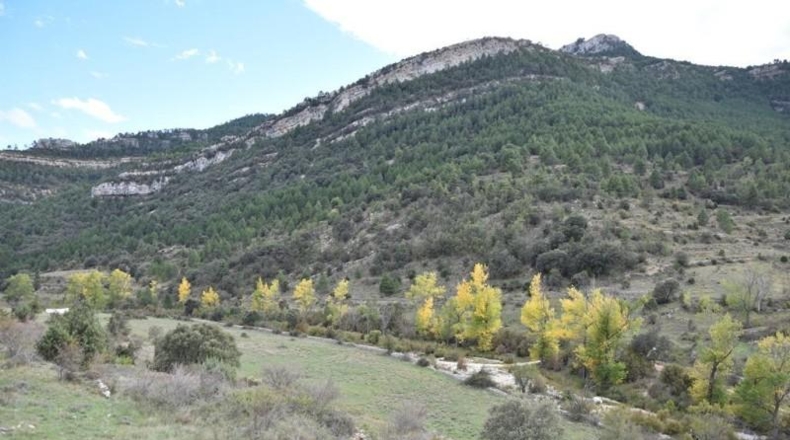 Teruel - Peñarroya de Tastavins - 1020000m2
