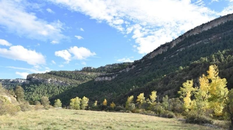 Teruel - Peñarroya de Tastavins - 1020000m2
