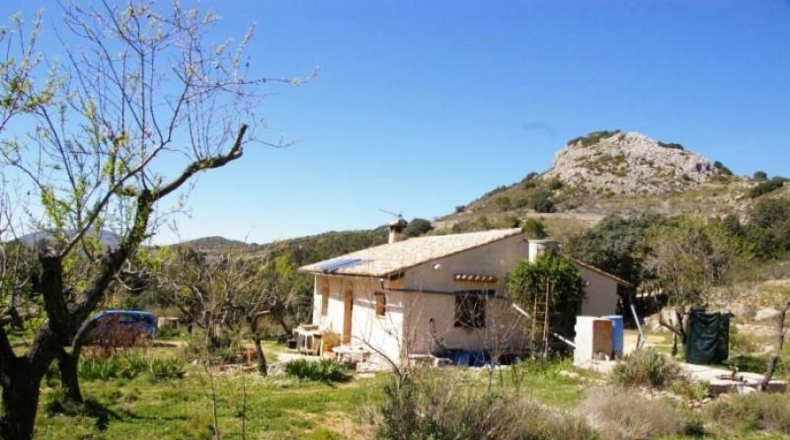 Alicante - Vall de Laguart - 11527m2