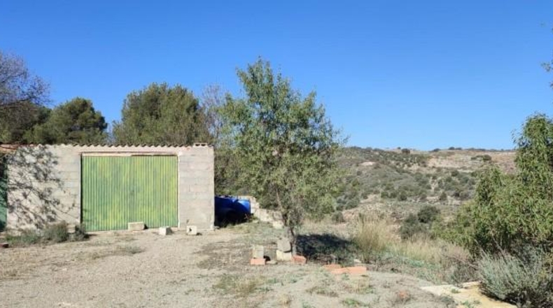 Murcia - Puerto Lumbreras - 236000m2